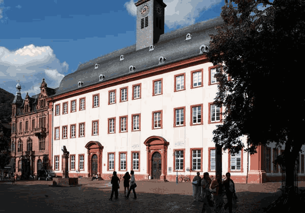 Heidelberg University